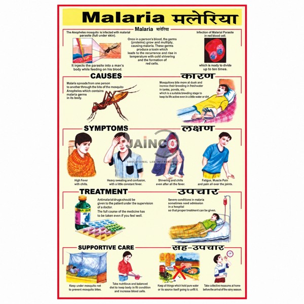 Malaria Chart
